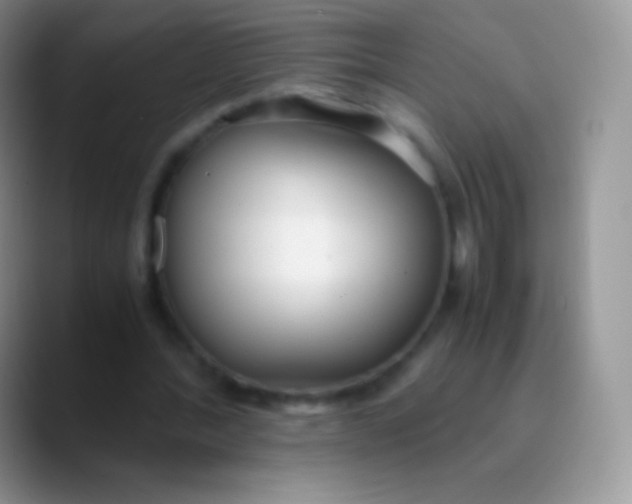 X0000089870388200707191942