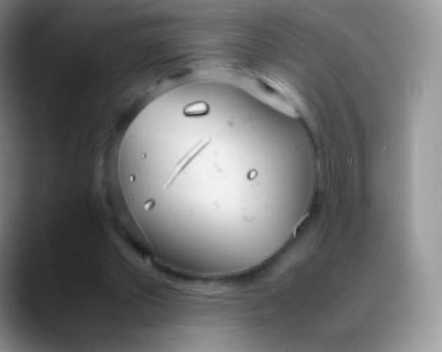 X0000089870389200707191942