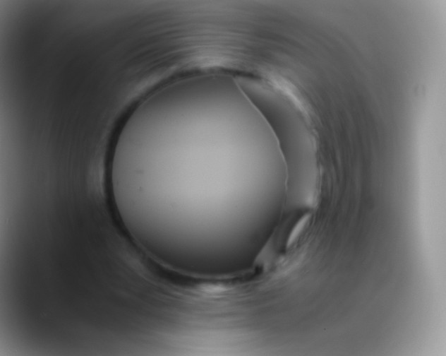 X0000089870391200707191942