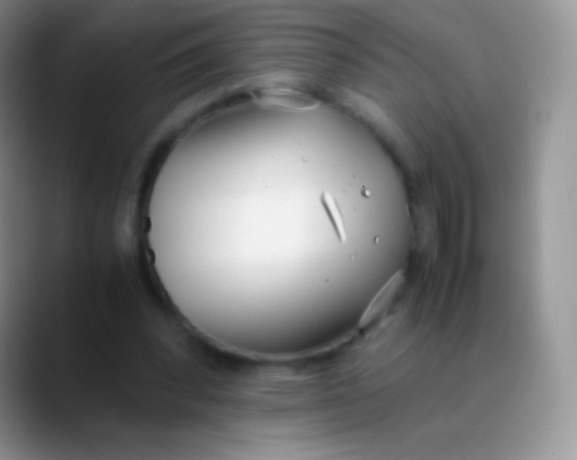 X0000089870392200707191942