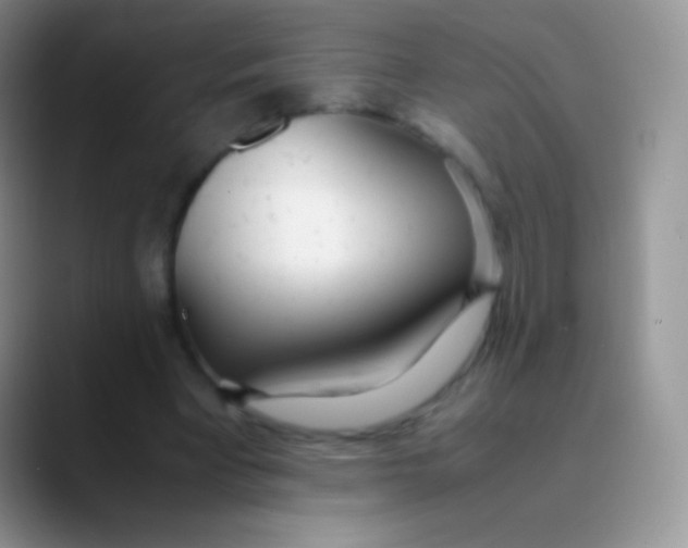 X0000089870393200707191942