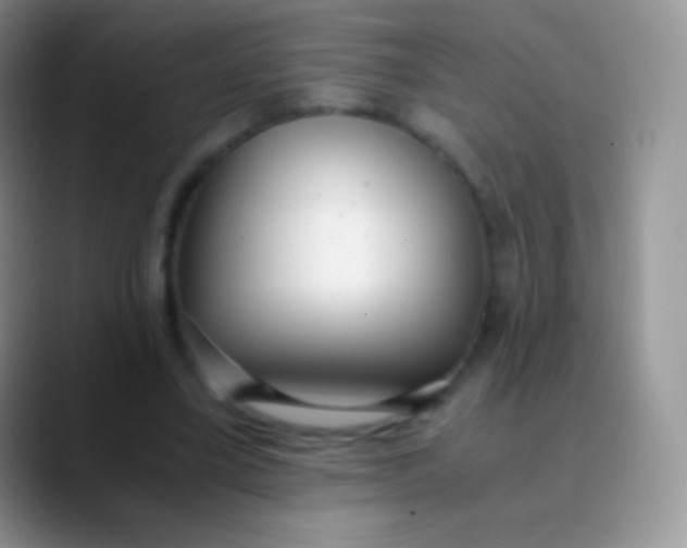 X0000089870395200707191942