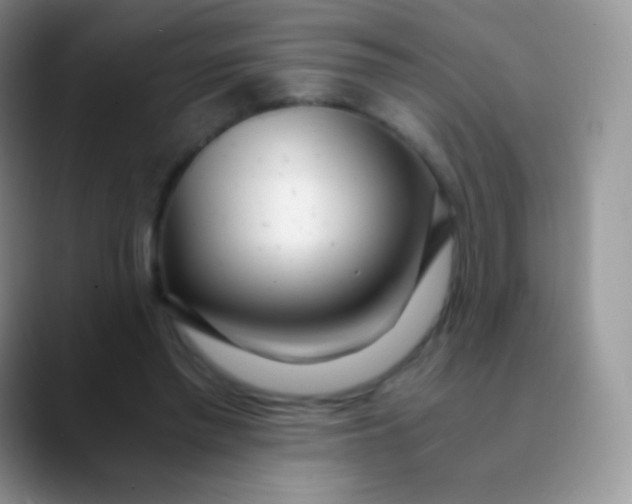 X0000089870397200707191942