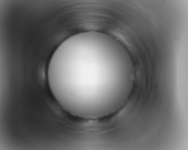 X0000089870398200707191942