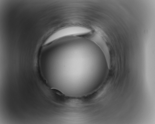 X0000089870399200707191942