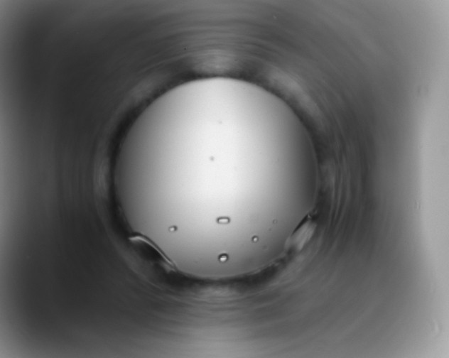 X0000089870400200707191942