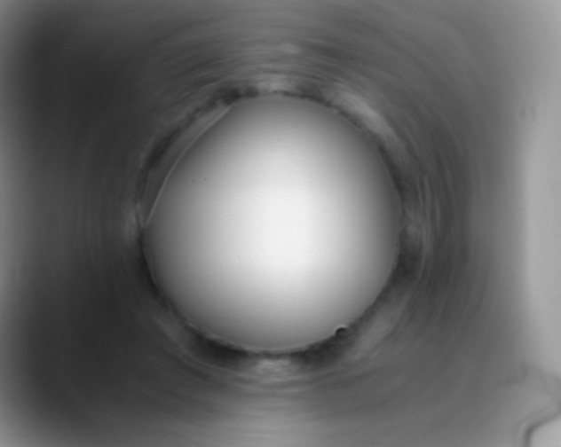 X0000089870401200707191942