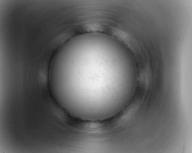 X0000089870402200707191942