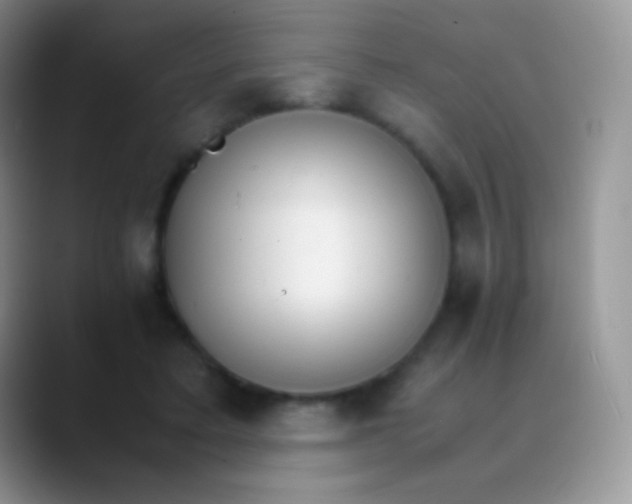 X0000089870403200707191942