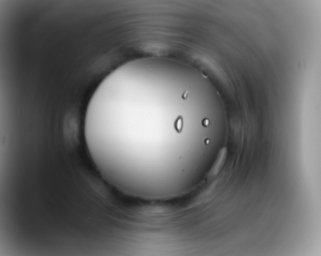 X0000089870404200707191942