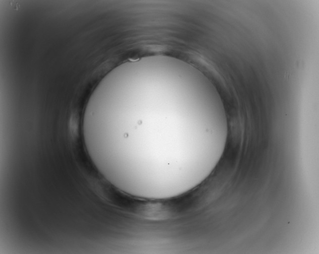 X0000089870406200707191942