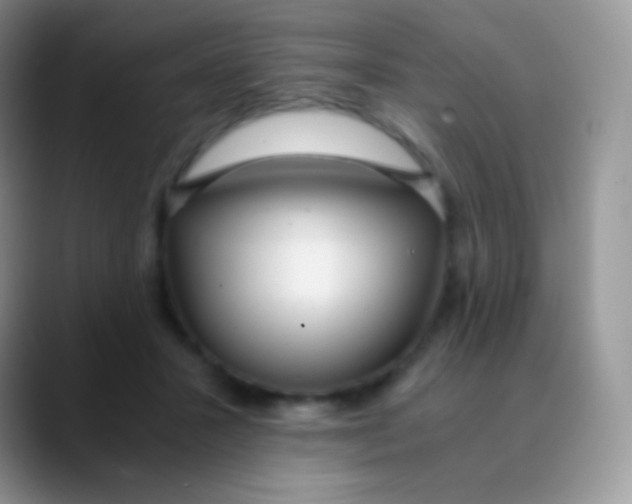 X0000089870407200707191942