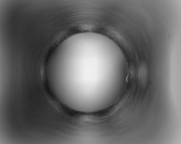 X0000089870408200707191942