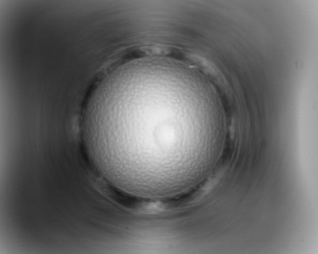 X0000089870409200707191942