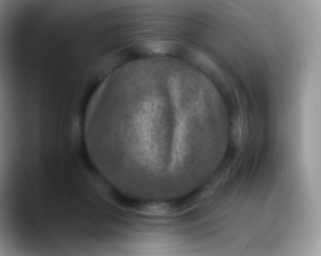 X0000089870410200707191942