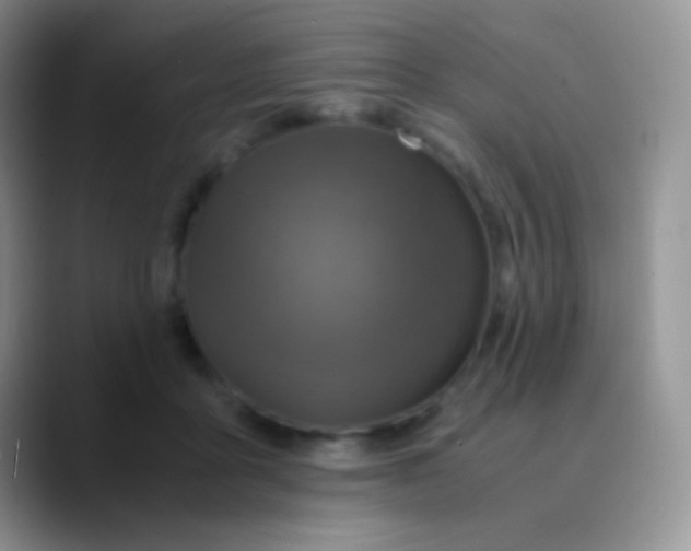 X0000089870411200707191942