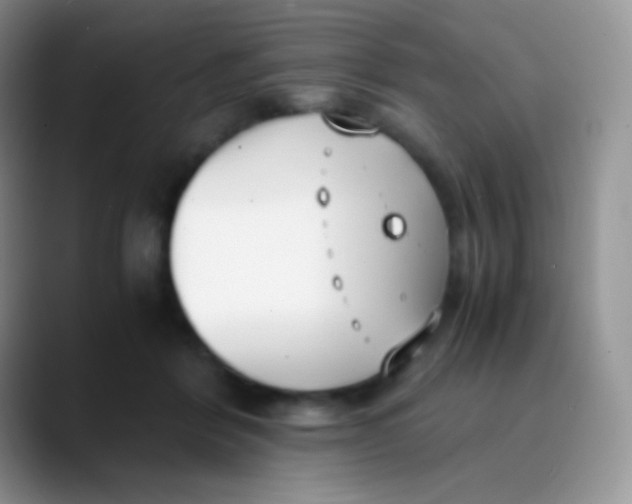 X0000089870412200707191942