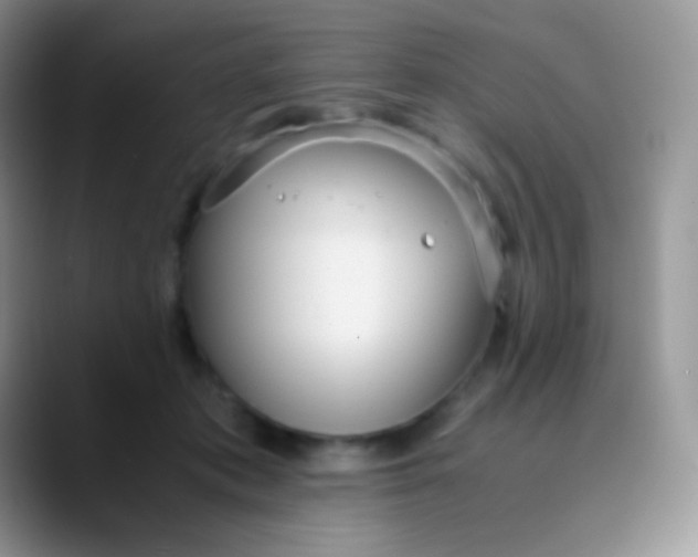 X0000089870413200707191942