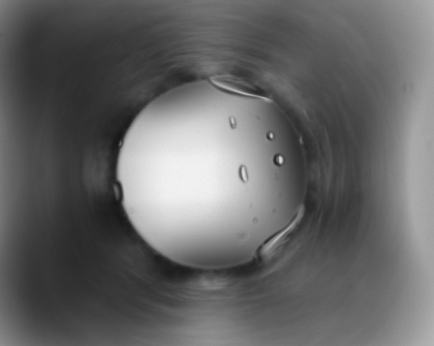 X0000089870416200707191942