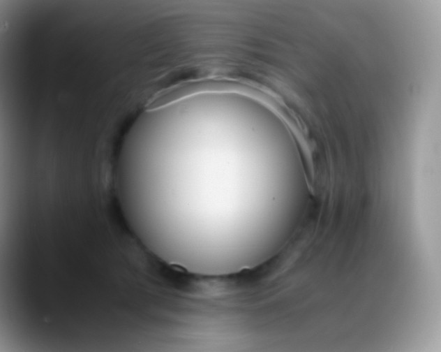 X0000089870417200707191942