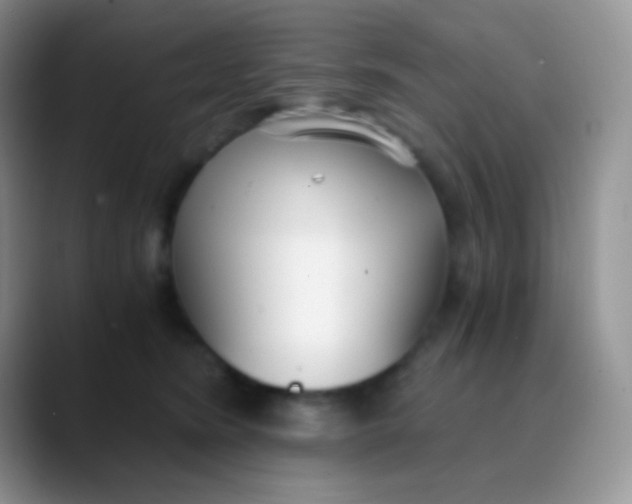 X0000089870420200707191942