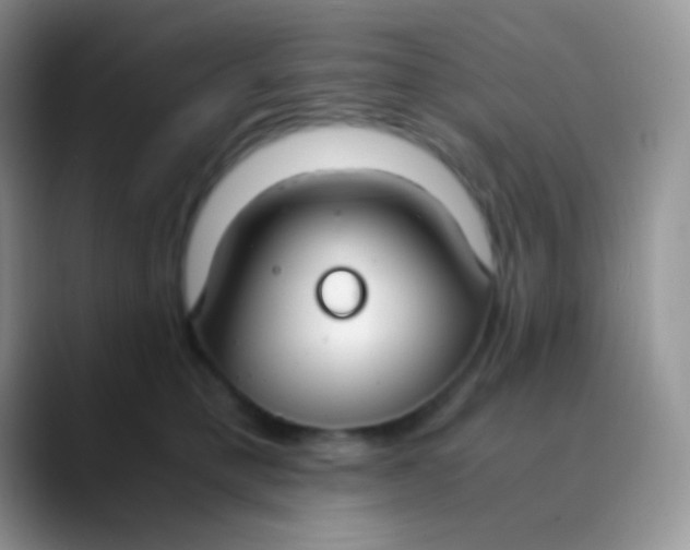 X0000089870421200707191942