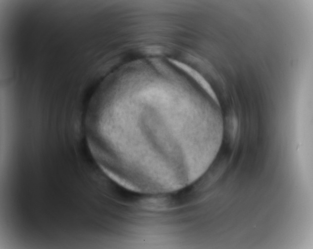 X0000089870422200707191942