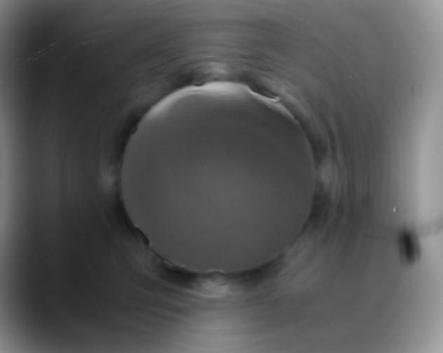 X0000089870423200707191942