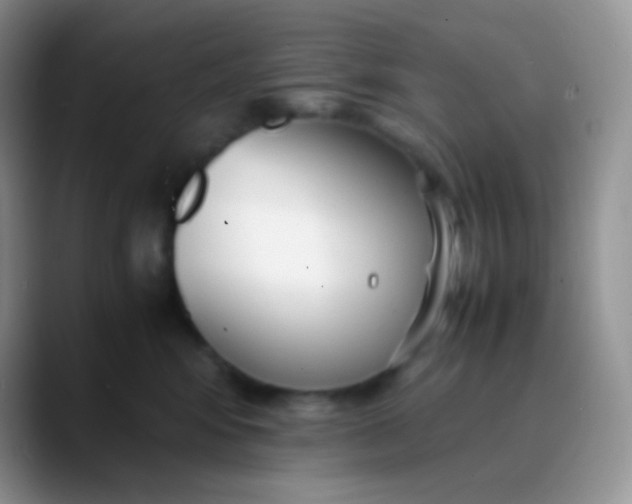 X0000089870424200707191942