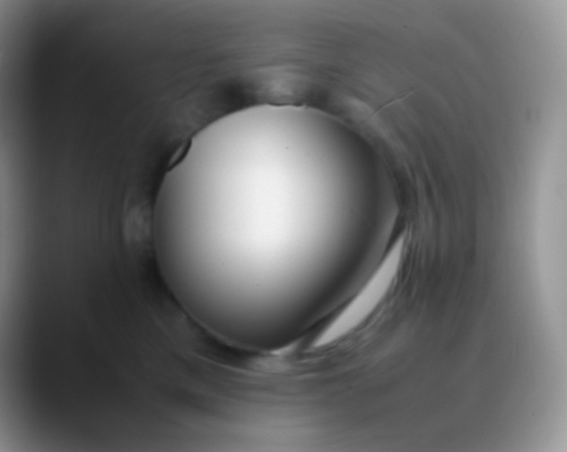 X0000089870425200707191942