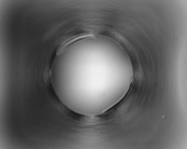 X0000089870429200707191942