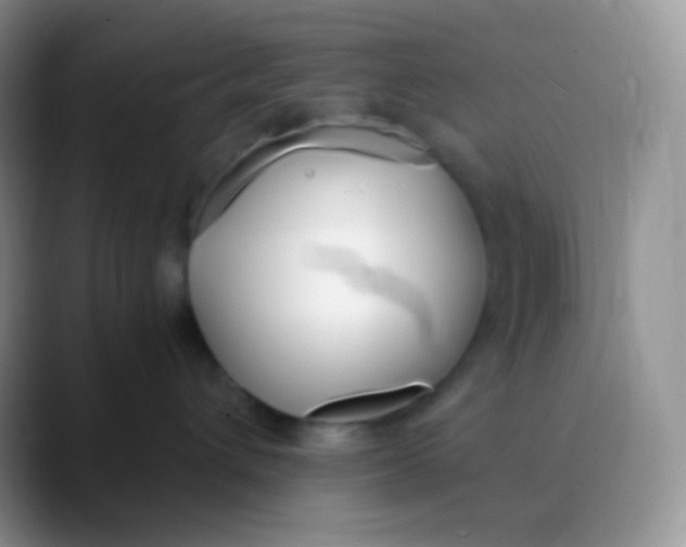 X0000089870432200707191942