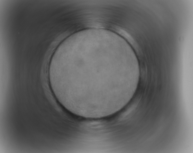 X0000089870433200707191941