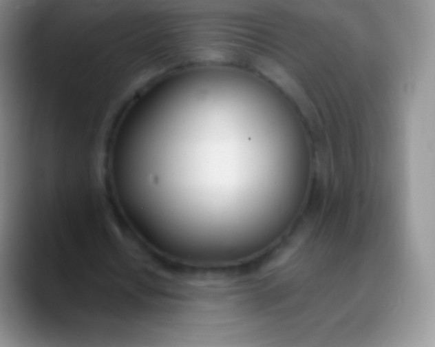 X0000089870434200707191941