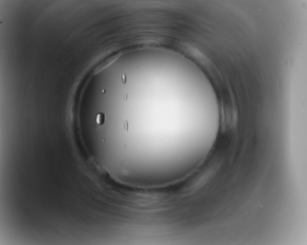 X0000089870435200707191941