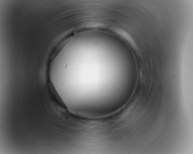 X0000089870436200707191941