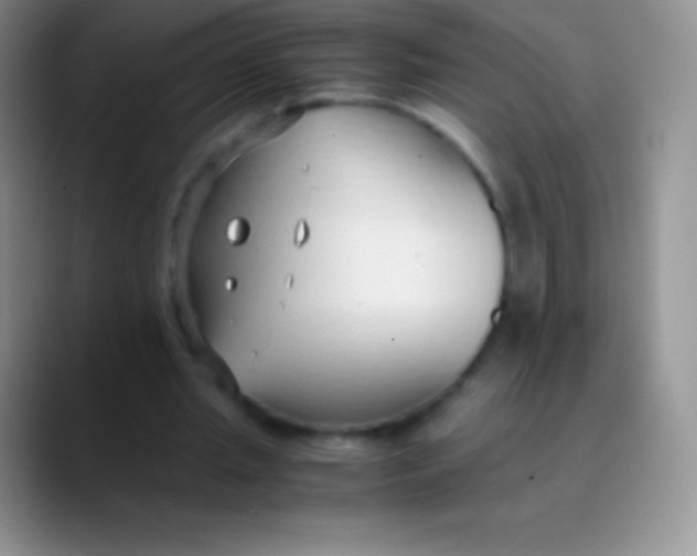 X0000089870437200707191941