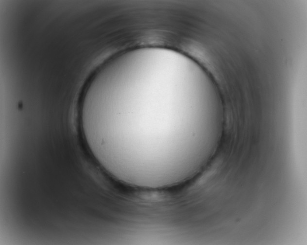 X0000089870439200707191941