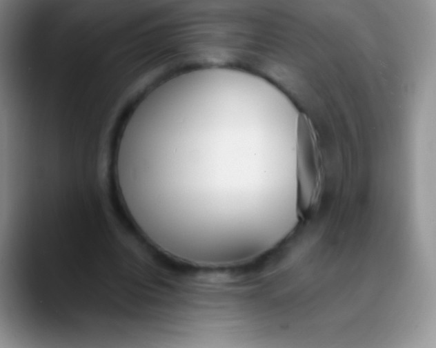 X0000089870440200707191941