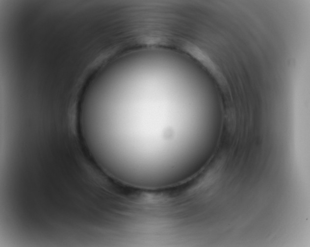 X0000089870442200707191941