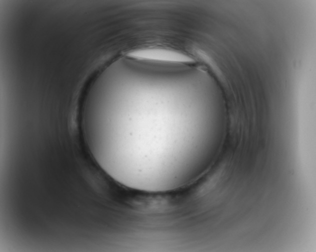 X0000089870443200707191941