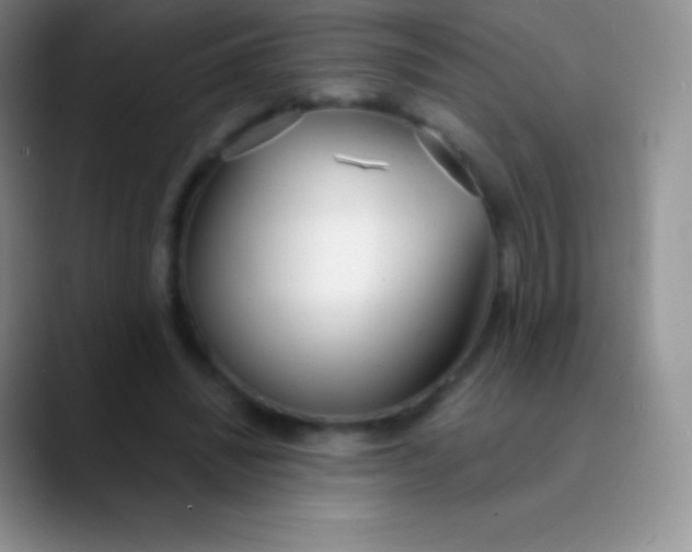 X0000089870444200707191941