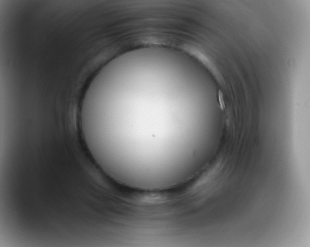 X0000089870445200707191941