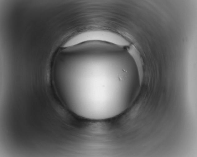 X0000089870446200707191941