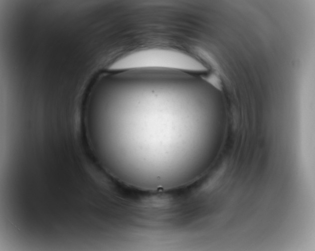 X0000089870447200707191941