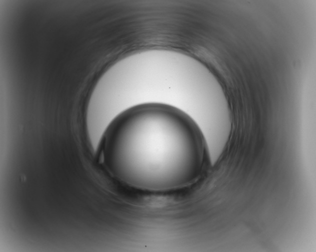 X0000089870448200707191941