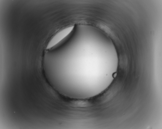 X0000089870449200707191941