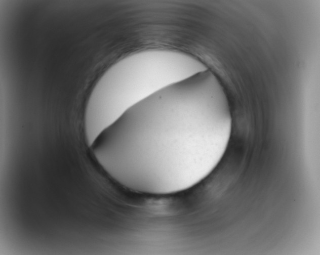 X0000089870450200707191941