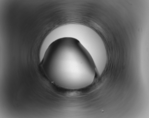 X0000089870452200707191941