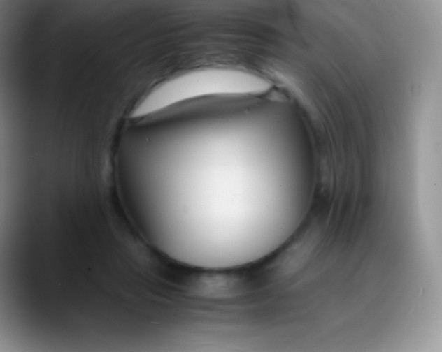 X0000089870453200707191941